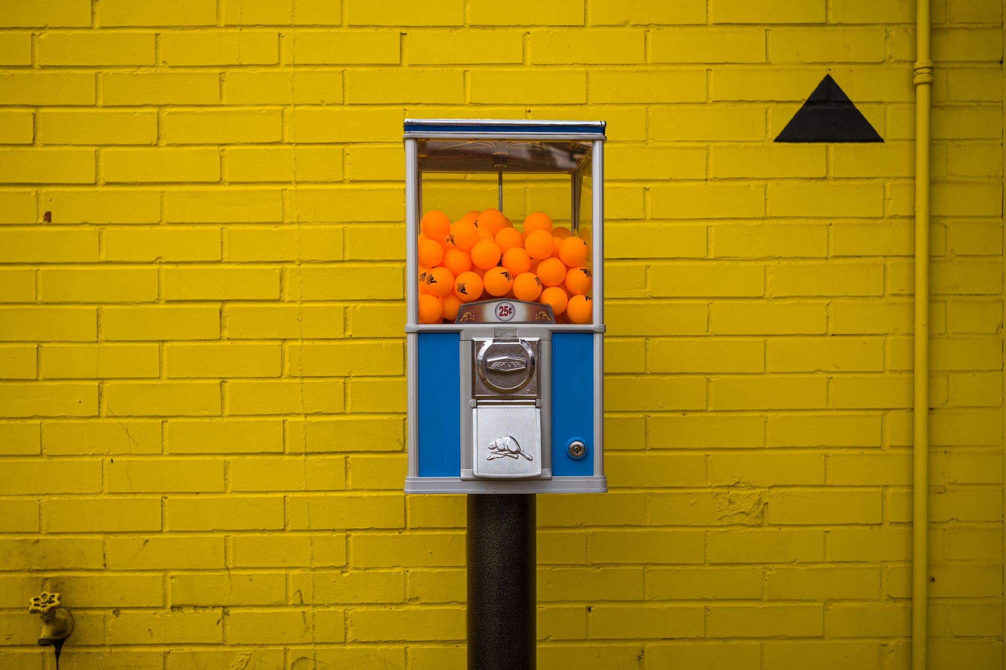 ping pong ball dispenser in front of yellow brick wall