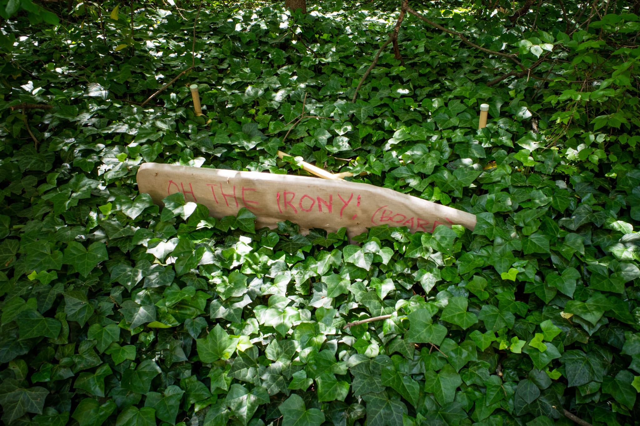 ironing board nestled in ivy with 'oh the irony (board)' written on it