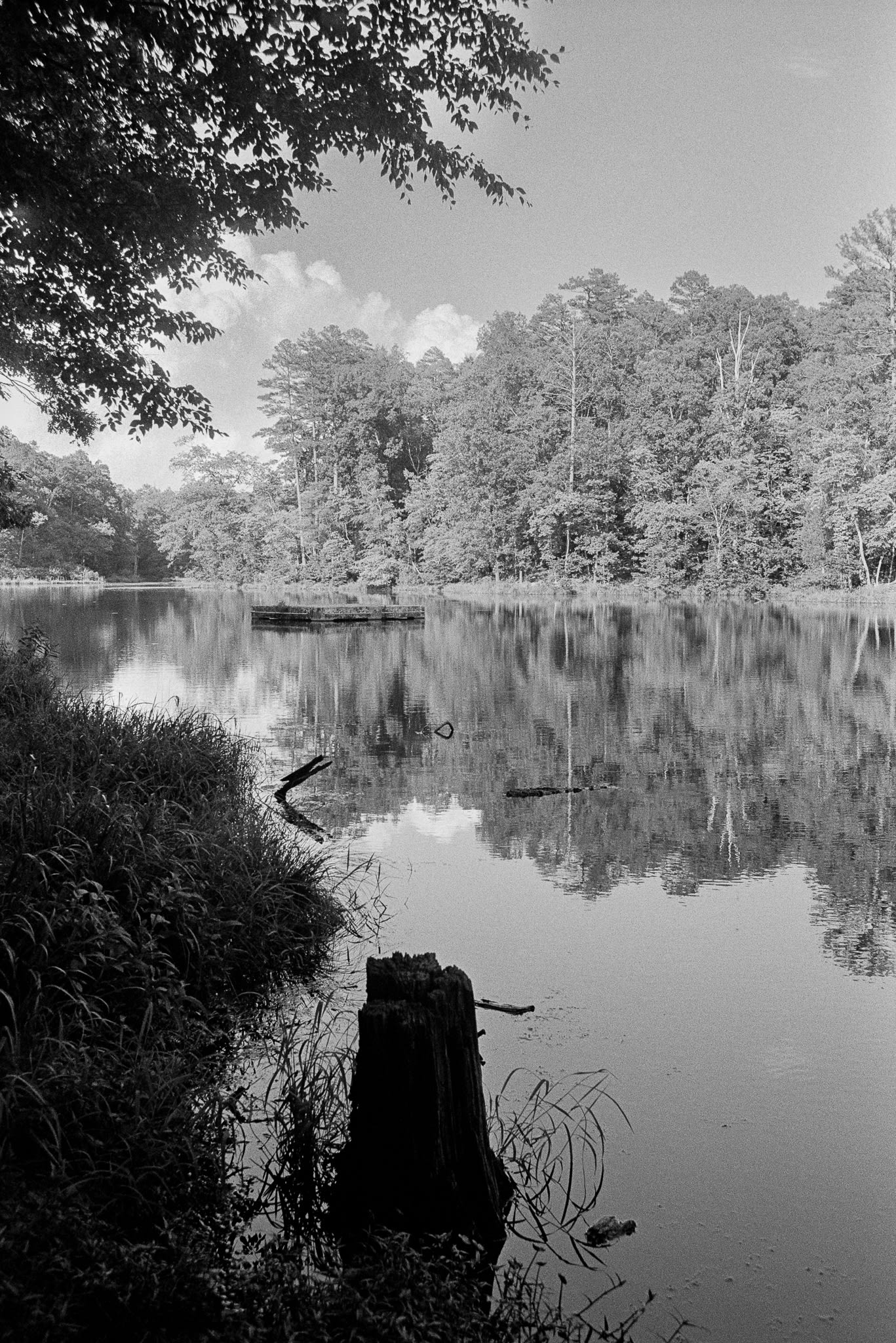 small floating dock in the middle of a small lake