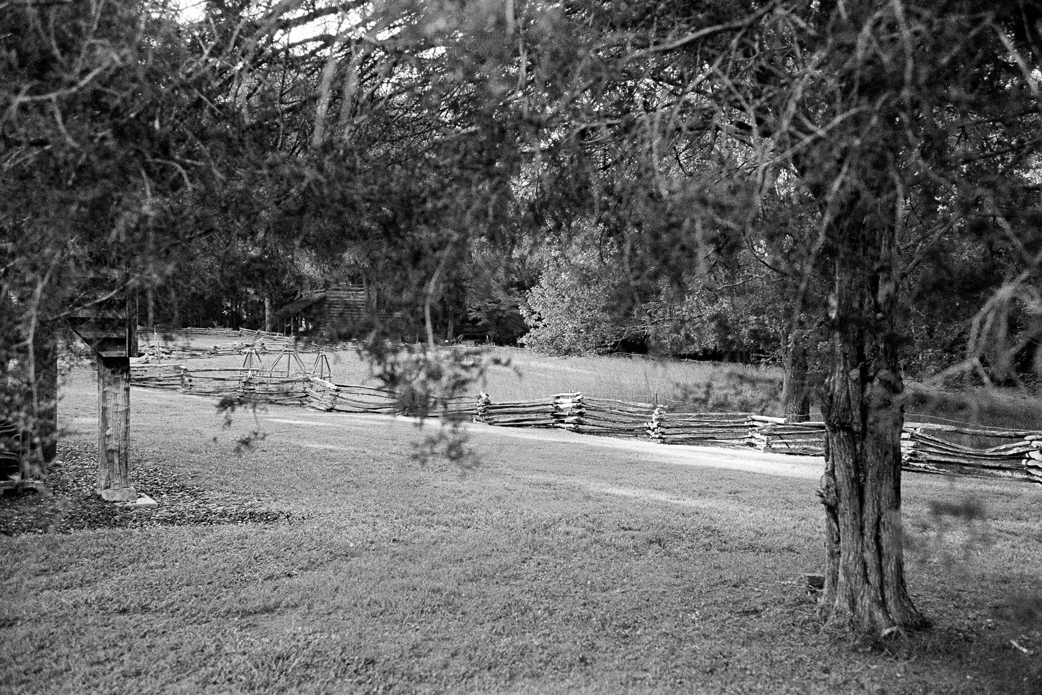 layered wooden fence photographed through two trees