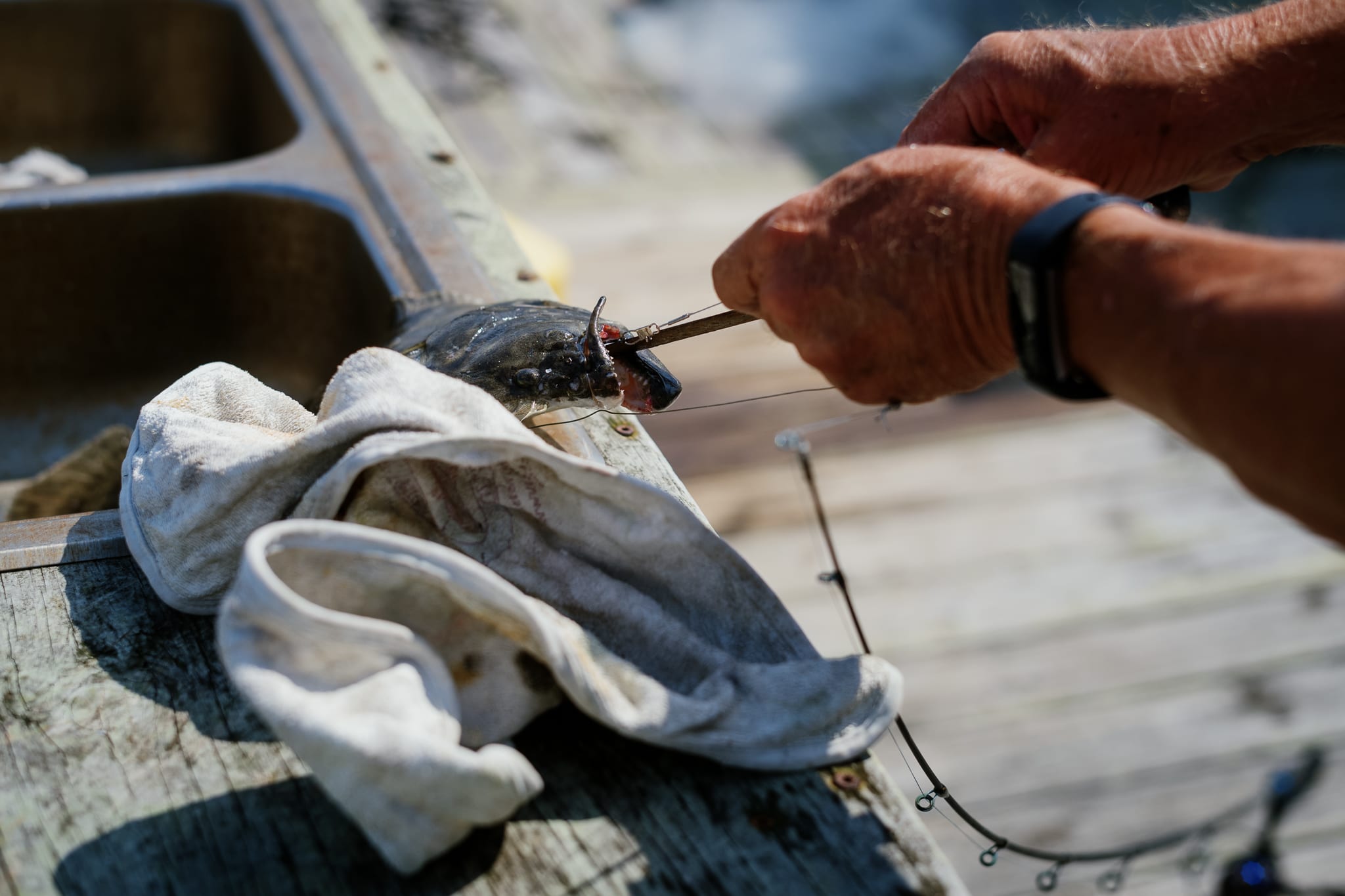 man removing hook from a flouders mouth lying in an outdoor sink