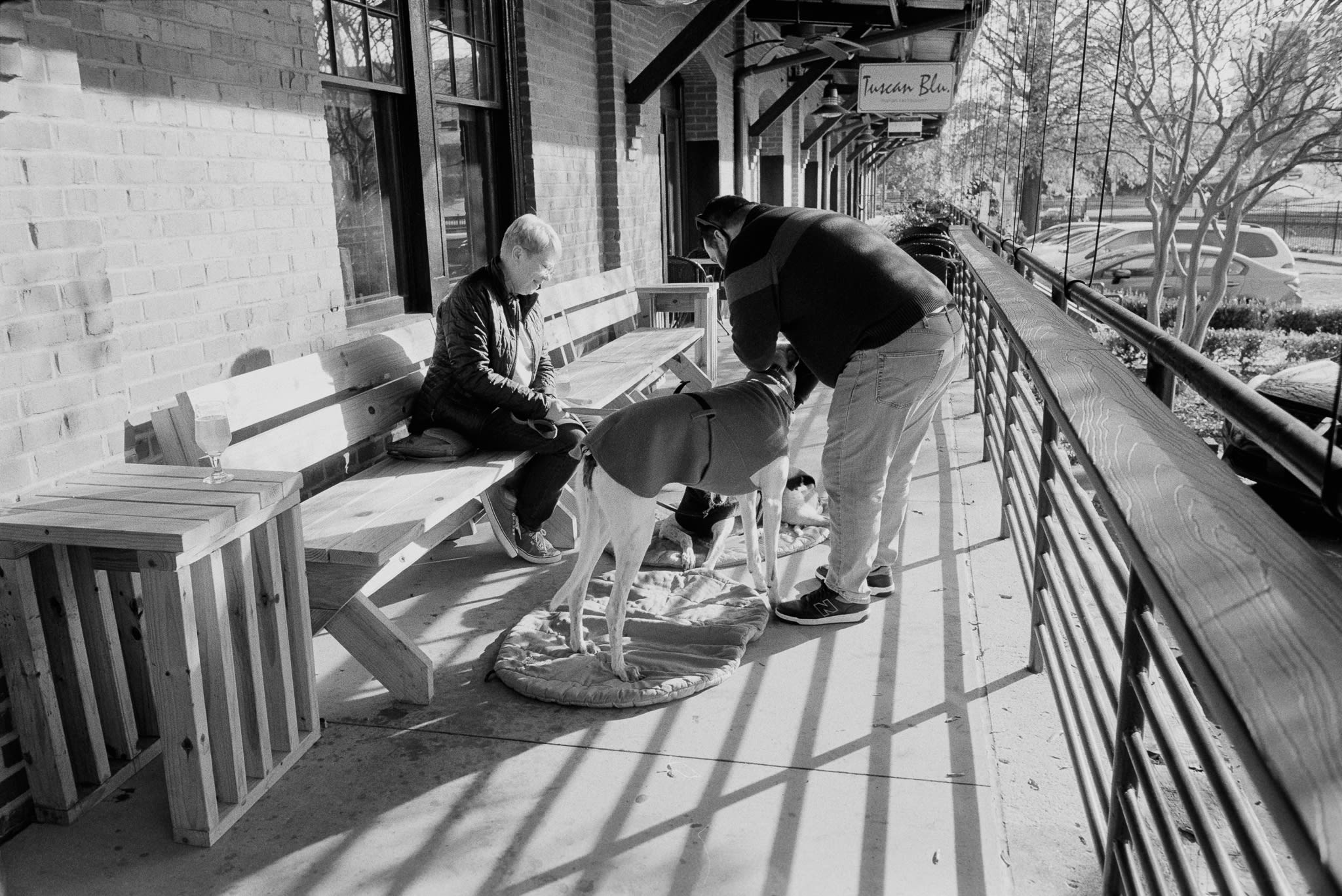 Woman sitting on a bench on a patio talking to a man petting her two dogs