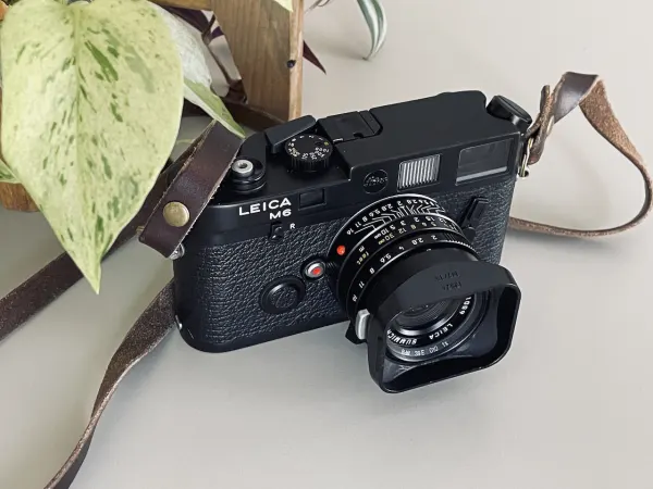 leica m6 with 35mm summicron asph and plant