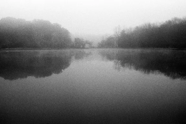 foggy tree line reflected in a pond