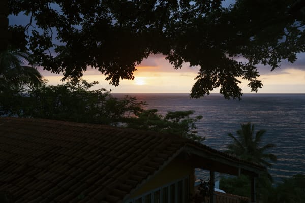 A sunset over the Pacific Ocean, framed by foilage