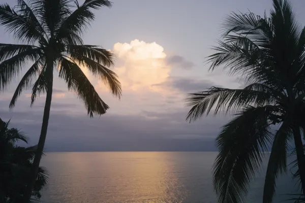 A sunrise reflecting off of a large cloud over the ocean, flanked between two palm trees.