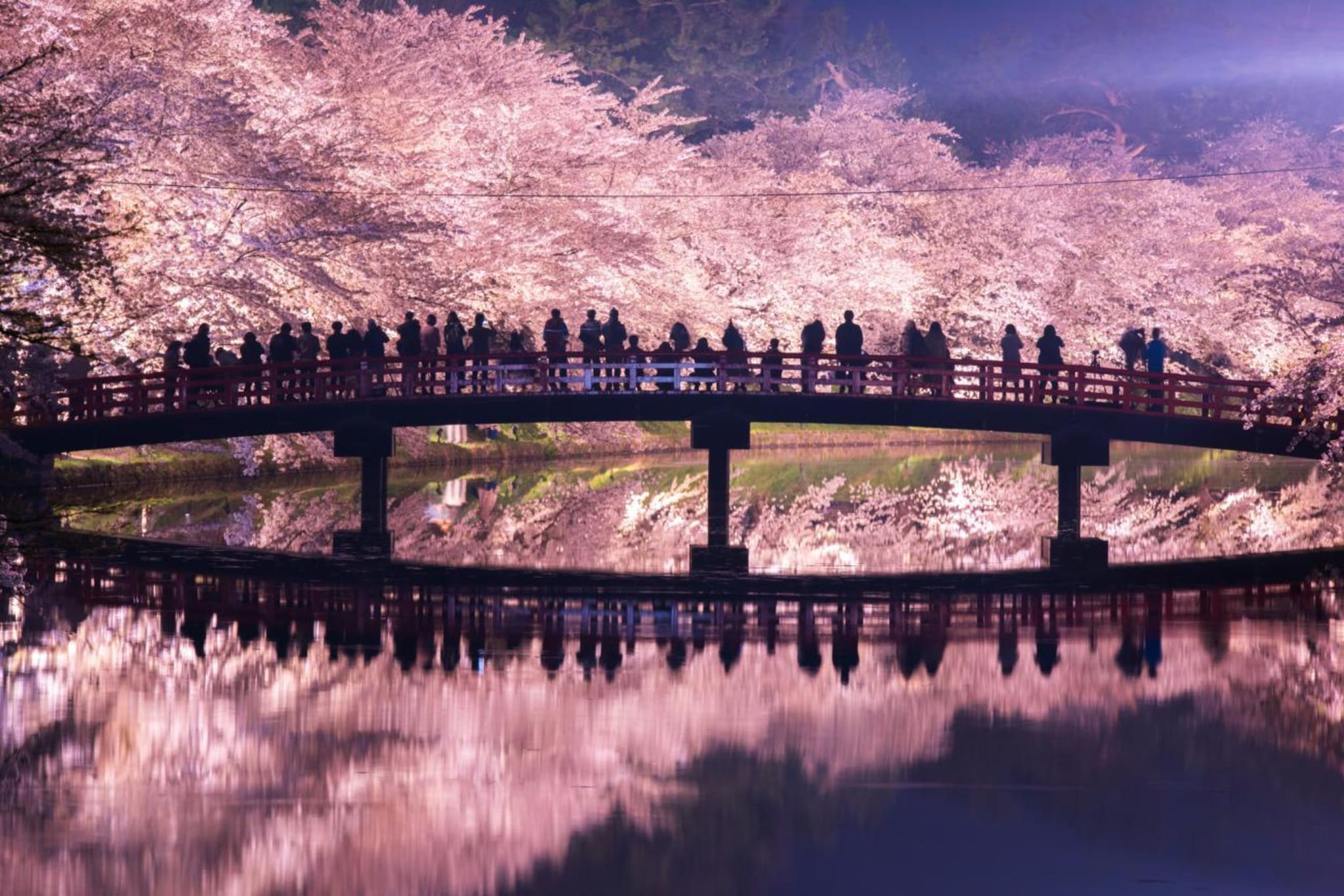 Japan Cherry Blossom Tour - Thumbnail 3