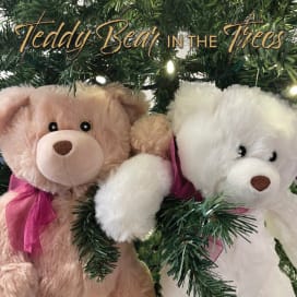 Teddy Bear Day – Fun Holiday