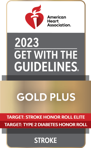 AHA 2023 Get With the Guidelines Gold Plus Stroke