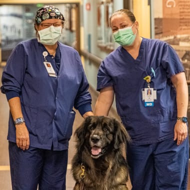 CMH pet therapy program returns Columbia Memorial Hospital