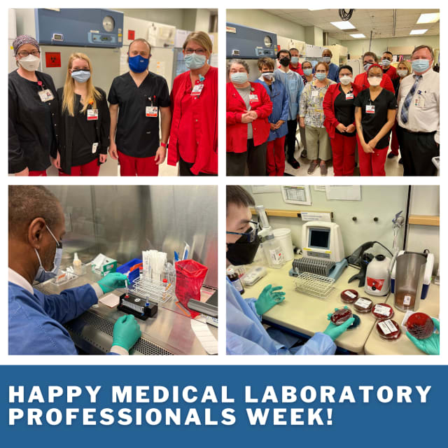 Medical Laboratory Professionals Week An Inside Look at a Clinical