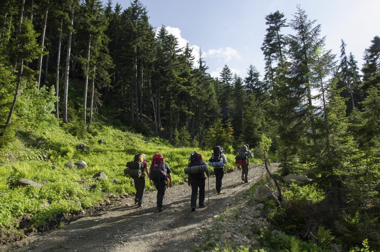 Hiking Groups