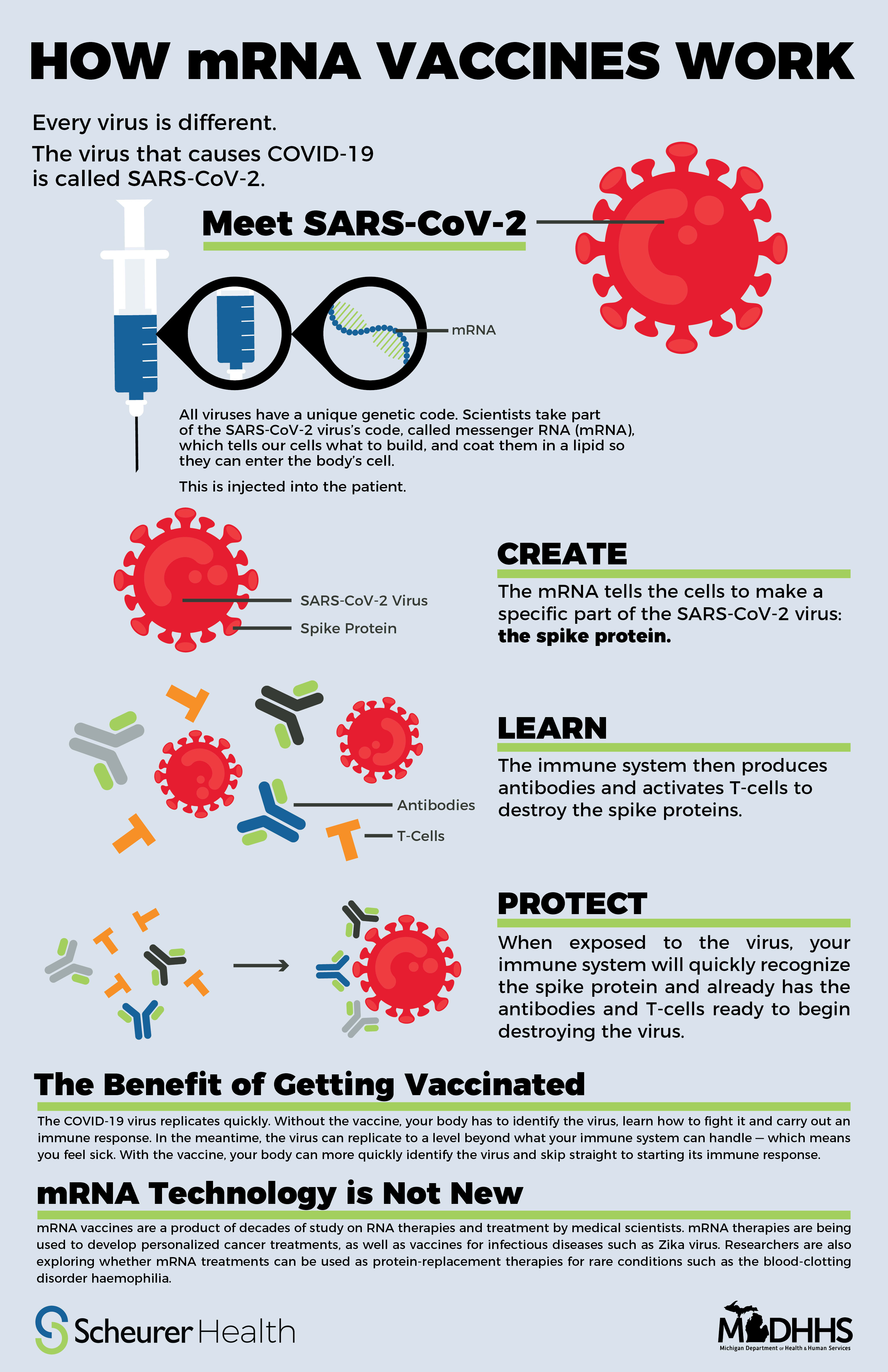 mrna infographic