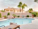 A pool area with plants and palm trees.