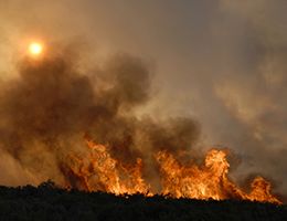 A wildfire burning