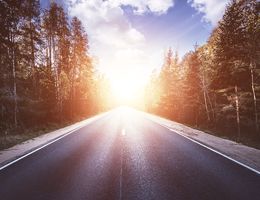 A road surrounded by trees with the sun on the horizon
