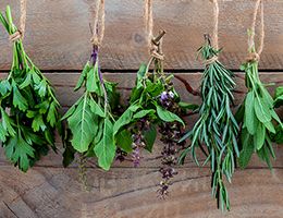 A selection of fresh herbs
