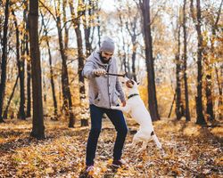 A man holds a stick as a playful dog jumps for it.