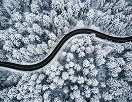 A winding road through a snowy forest.