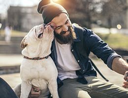 A bulldog licks a man's forehead.