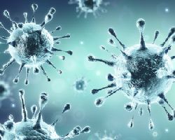 Illustration of a coronavirus.
