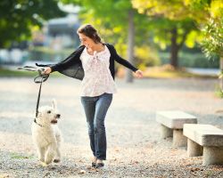  Women walking dog.