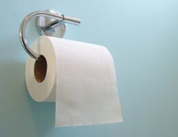 A roll of toilet paper hangs in a bathroom.