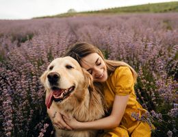 A woman hugs a golden retriever in a field of lavender