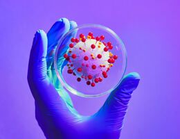 A gloved hand holds a petri dish with an enlarged COVID-19 molecule in it