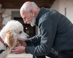 An older man bends to shake his poodle’s paw