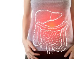 Drawing of digestive system superimposed on a photo of a woman’s torso.