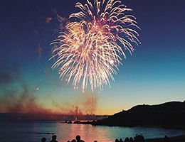 A firework bursting in the night sky.