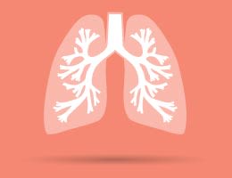 Lungs
