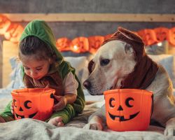 A child and a dog wearing Halloween costumes look into trick-or-treat buckets.