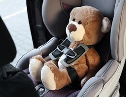  A teddy bear in a car seat