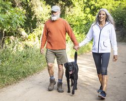 An older couple hold hands as they walk down a trail with a black dog between them.