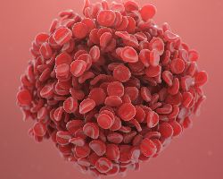  Blood cells