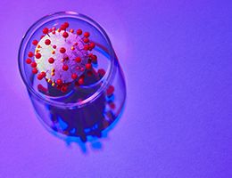 An illustration of the coronavirus.