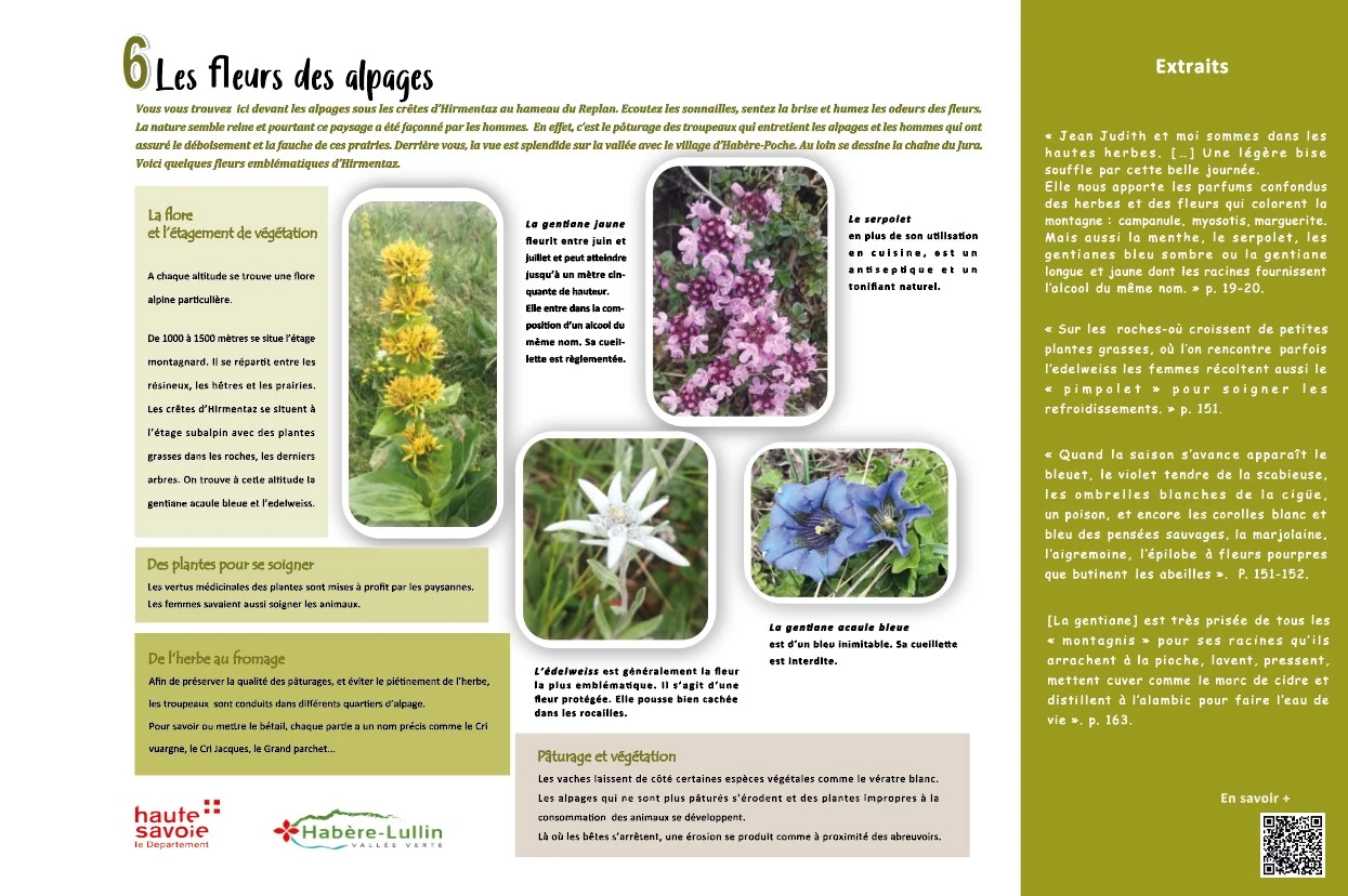 étape 6 - Les fleurs de l’alpage