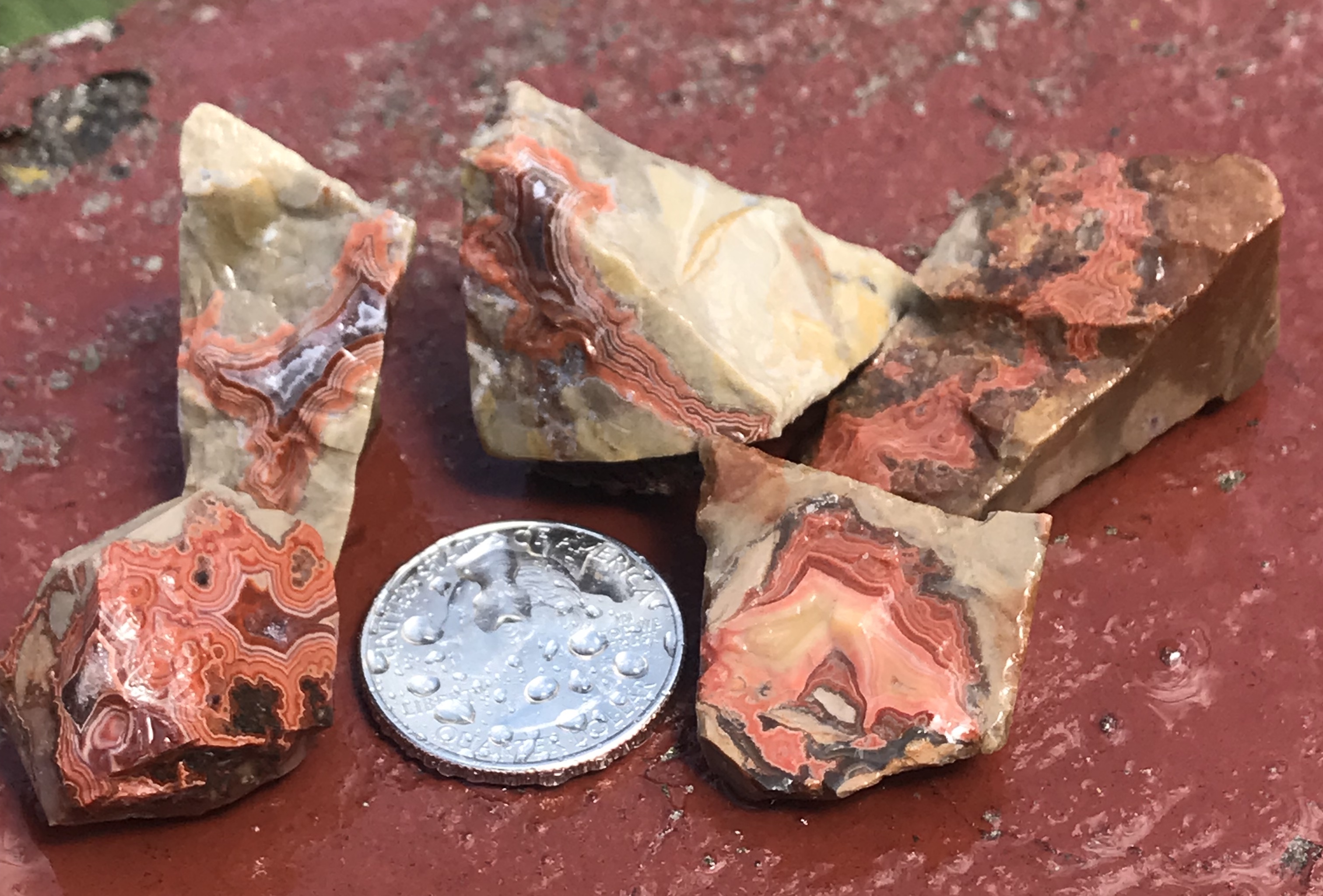 Hand pushed a few agates for the tumblers. Rock Tumbling Hobby