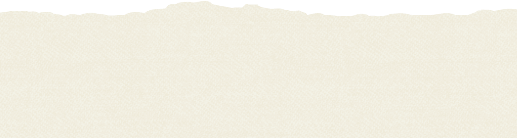 tortilla slice