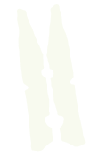Peg for notes Illustration