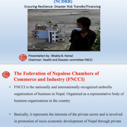 Ensuring Resilience: Disaster Risk Transfer/Financing