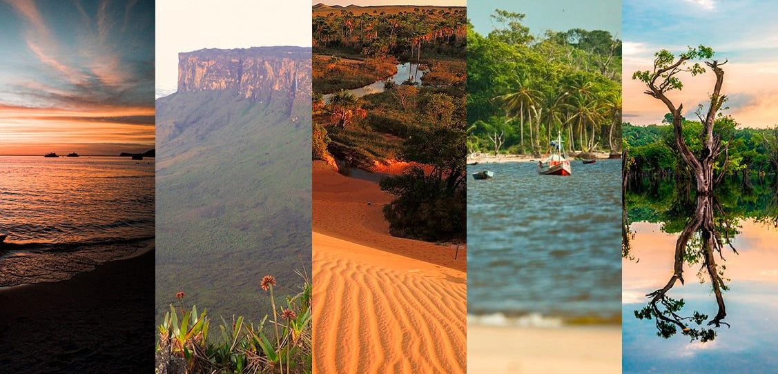 Descubra os Encantos do Norte com a D'Hages Turismo