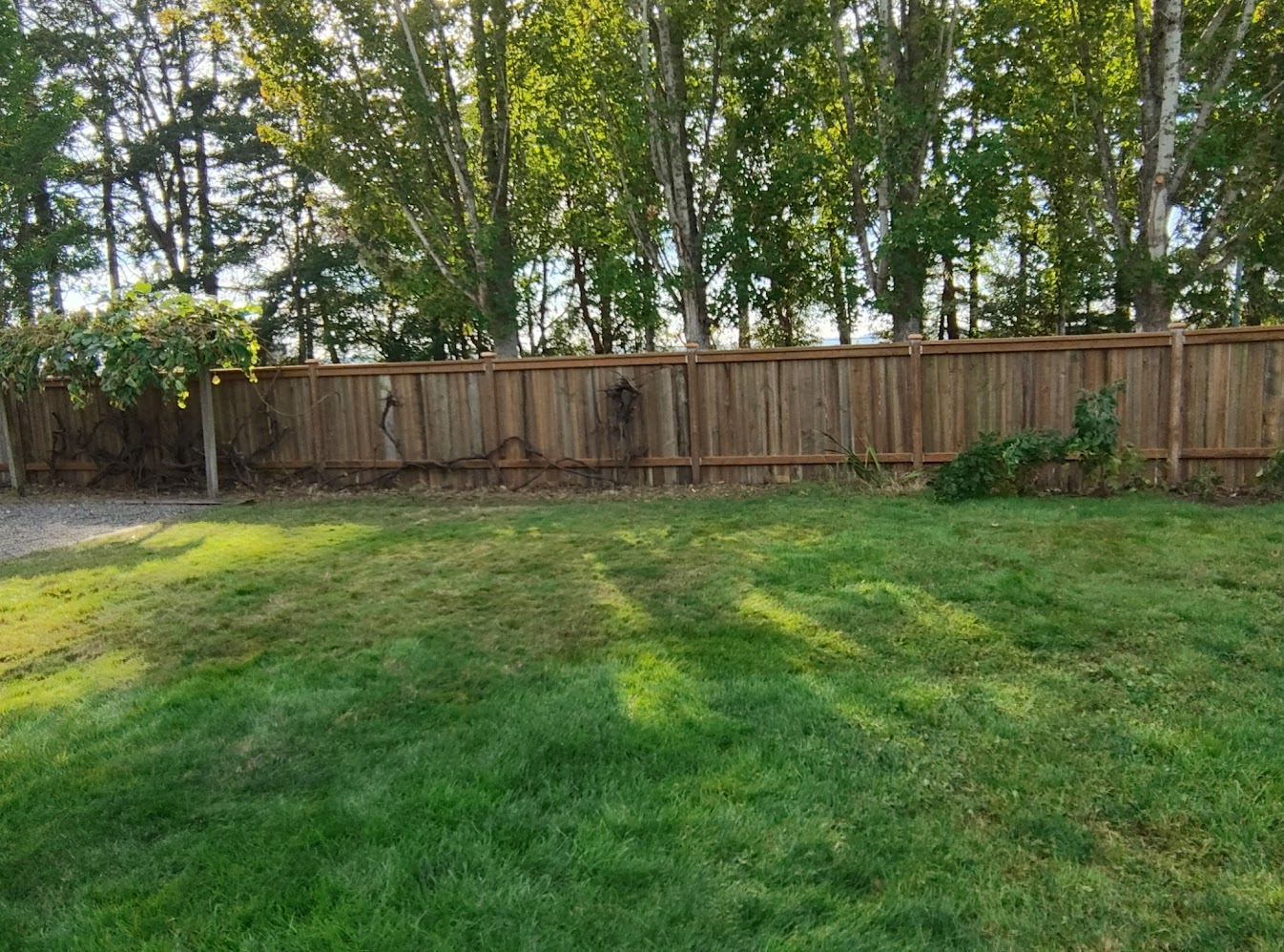 updated wooden fence with reclaimed wood