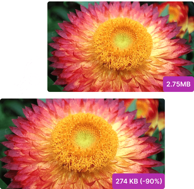 Tinyfile Image compression results