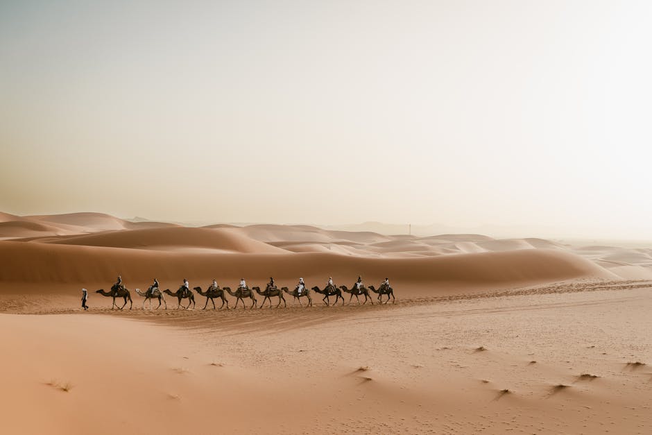 A caravan of camels led by a person traverses a vast desert with towering sand dunes in the background.