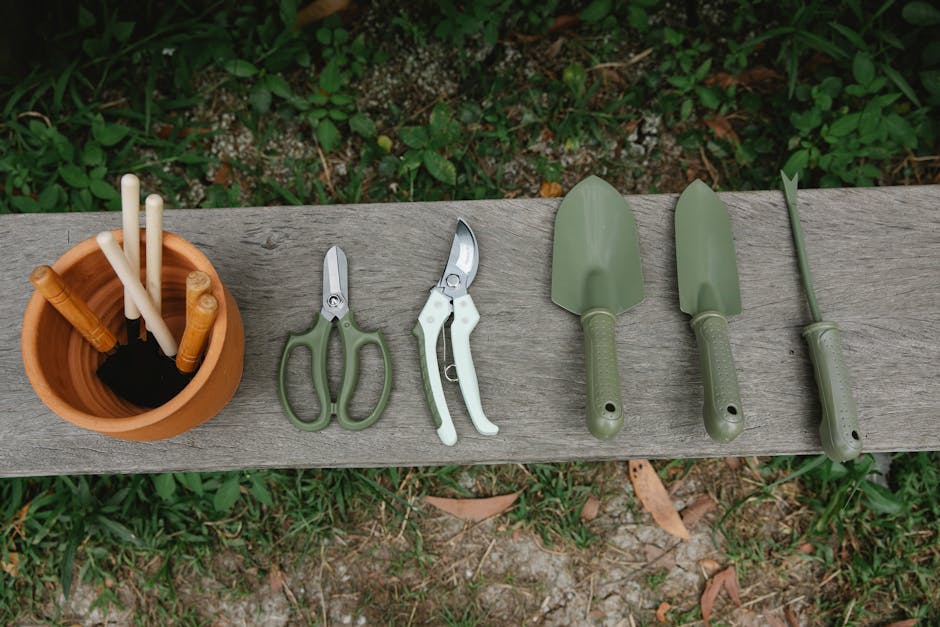 A neatly arranged set of gardening tools, including trowels, pruning shears, and a pot of small tools, displayed on a wooden surface outdoors.