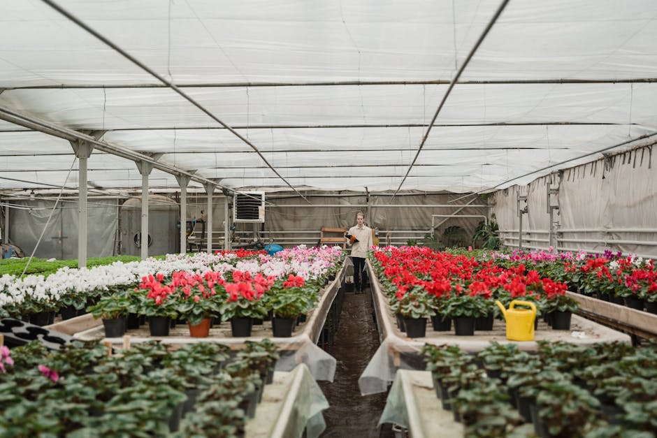 A person tending to rows of colorful flowers in a greenhouse surrounded by vibrant plants.