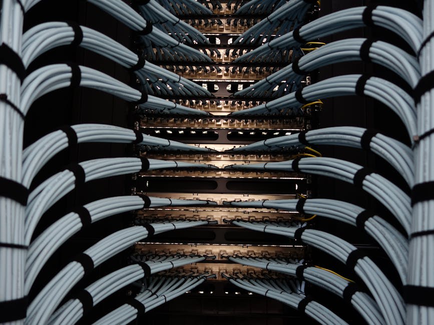 Image of neatly organized network cables in a server room. The cables are bundled and arranged in symmetrical rows, showcasing a clean infrastructure setup within a data center environment.